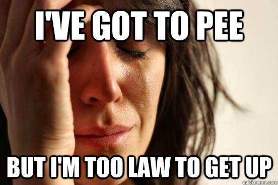 I've got to pee but I'm too law to get up  First World Problems