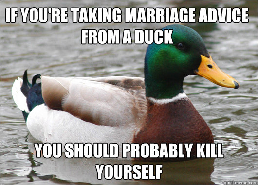 If You're taking marriage advice from a Duck You should probably kill yourself  Actual Advice Mallard