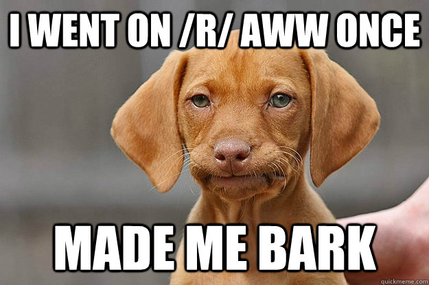 I went on /r/ aww once Made me bark - I went on /r/ aww once Made me bark  Misc