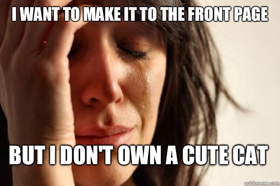I want to make it to the front page  But I don't own a cute cat   First World Problems