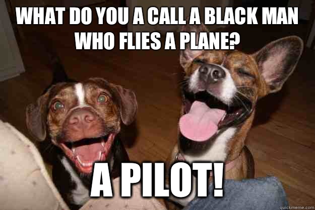 What do you a call a black man who flies a plane?  A pilot! - What do you a call a black man who flies a plane?  A pilot!  Clean Joke Puppies