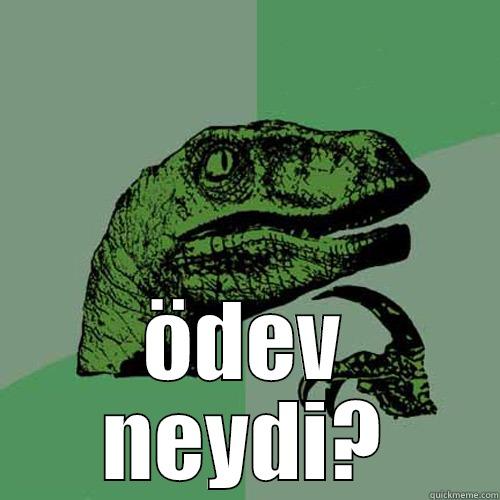neydi yaa  -  ÖDEV NEYDI? Philosoraptor