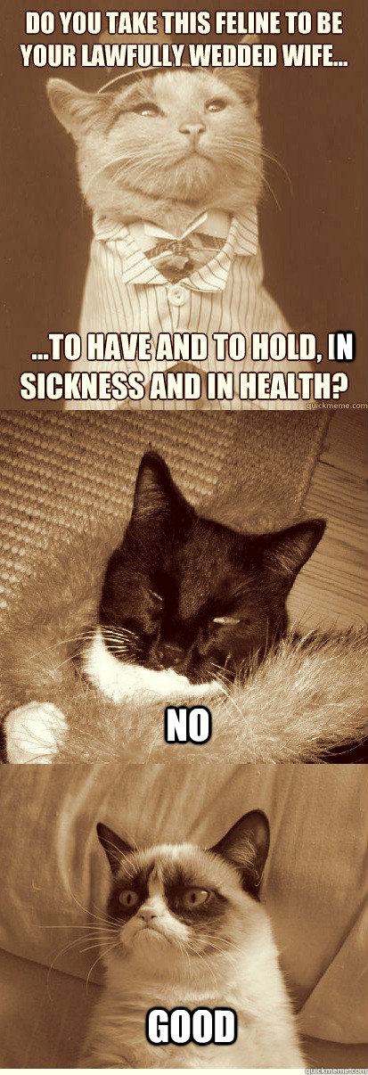 n No Good  grumpy cat wedding