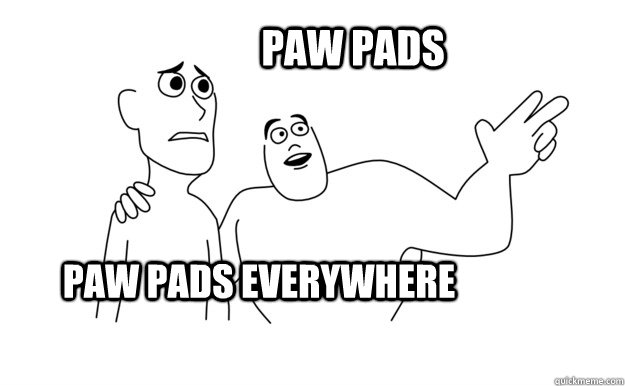 PAW PADS everywhere PAW PADS   x-x everywhere