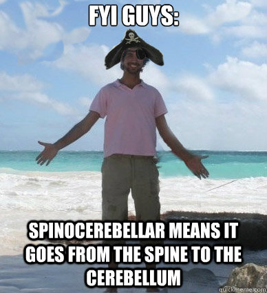 FYI Guys: Spinocerebellar means it goes from the spine to the cerebellum - FYI Guys: Spinocerebellar means it goes from the spine to the cerebellum  Captain Obvious Faran