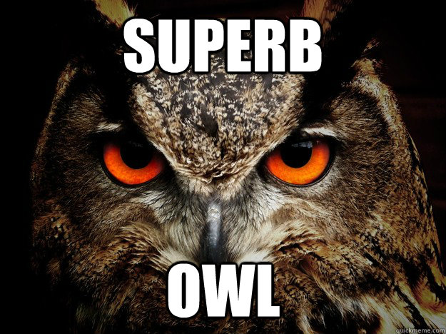 SUPERB OWL - SUPERB OWL  Misc