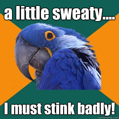 a little sweaty.... I must stink badly!   Paranoid Parrot