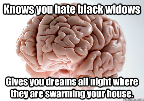 Knows you hate black widows Gives you dreams all night where they are swarming your house.  Scumbag Brain