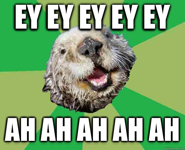 Ey ey ey ey ey Ah ah ah ah ah  OCD Otter