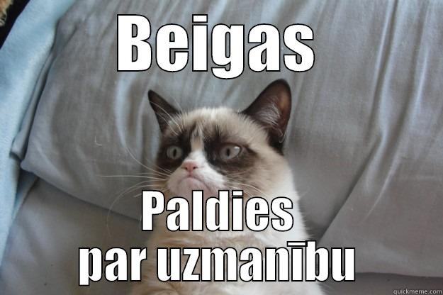 BEIGAS PALDIES PAR UZMANĪBU Grumpy Cat