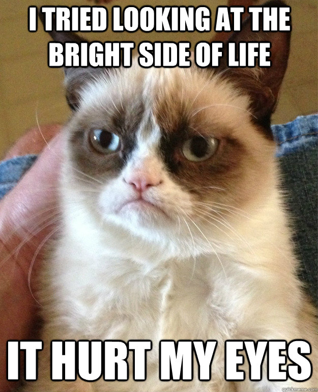 I tried looking at the bright side of life It hurt my eyes  Grumpy Cat