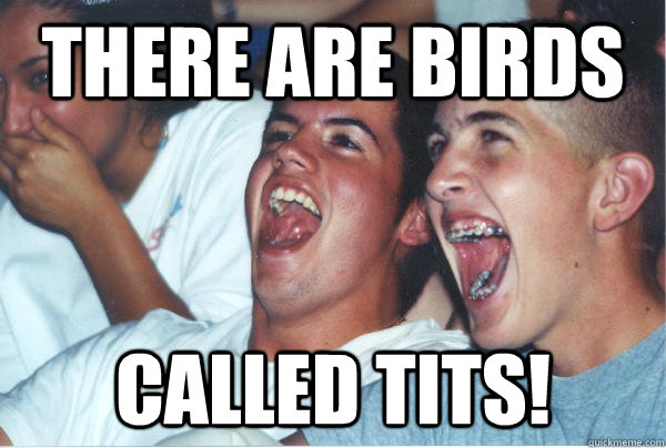 There are birds Called tits!  Immature High Schoolers