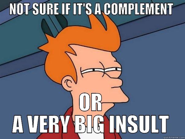 NOT SURE IF IT'S A COMPLEMENT OR A VERY BIG INSULT Futurama Fry
