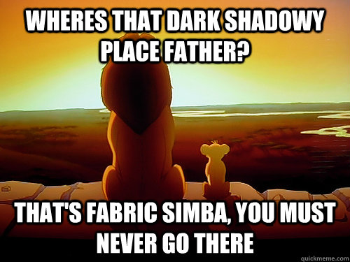 Wheres that dark shadowy place father? That's Fabric simba, you must never go there  