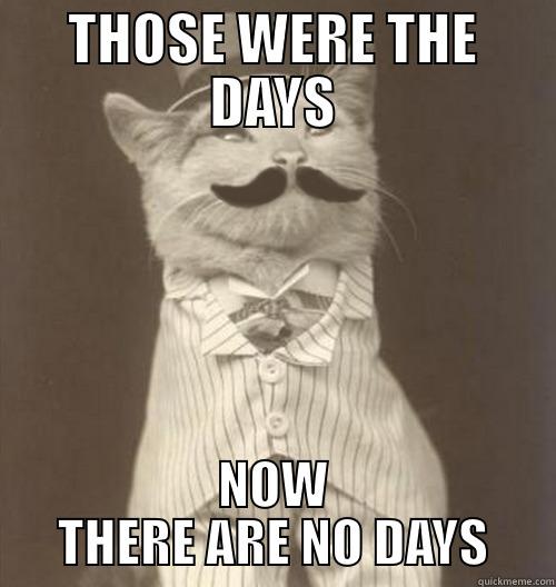 THOSE WERE THE DAYS - THOSE WERE THE DAYS NOW THERE ARE NO DAYS Original Business Cat