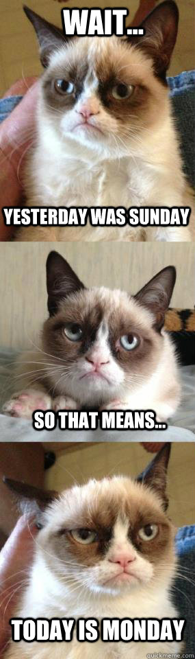 Yesterday was sunday Wait... So that means... today is monday - Yesterday was sunday Wait... So that means... today is monday  Monday Cat