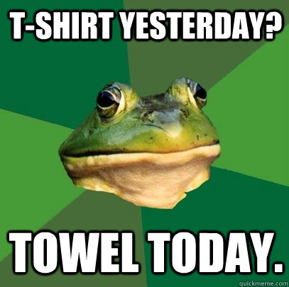 T-Shirt Yesterday? Towel Today.  Foul Bachelor Frog