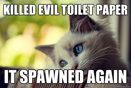 killed Evil Toilet paper it spawned again  First World Problems Cat