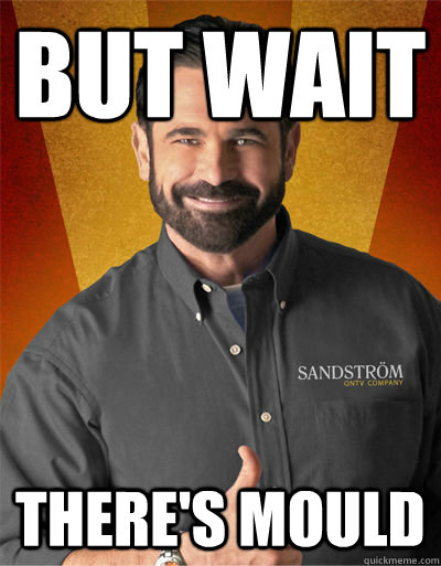but wait there's mould  Billy Mays