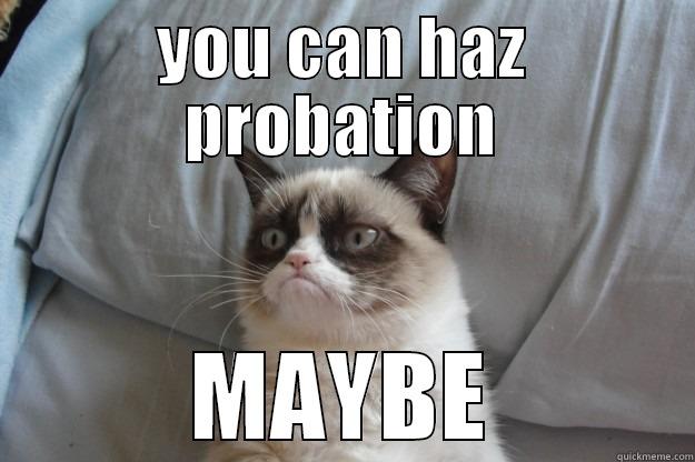 YOU CAN HAZ PROBATION MAYBE Grumpy Cat