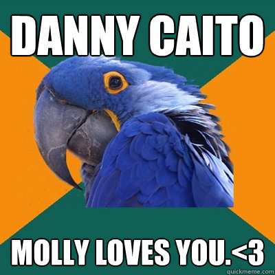 Danny CAito Molly loves you.<3  Paranoid Parrot