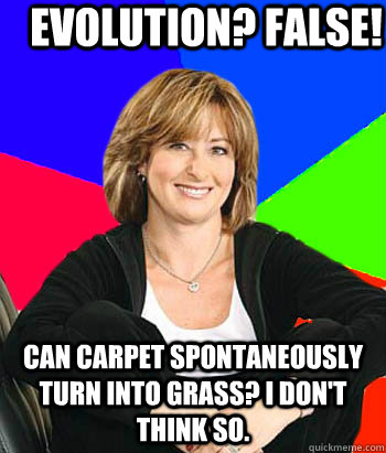 Evolution? False!  Can carpet spontaneously turn into grass? I don't think so.  - Evolution? False!  Can carpet spontaneously turn into grass? I don't think so.   Sheltering Suburban Mom