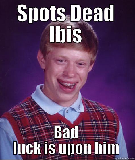SPOTS DEAD IBIS BAD LUCK IS UPON HIM Bad Luck Brian