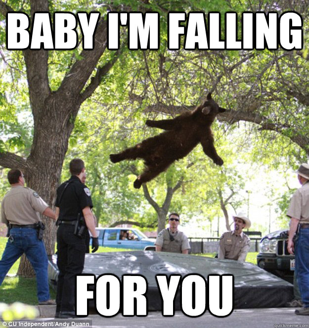 Baby I'm falling For you  falling bear