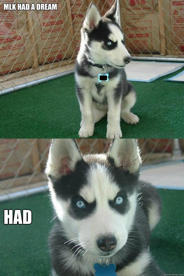 MLK had a dream Had  Insanity puppy