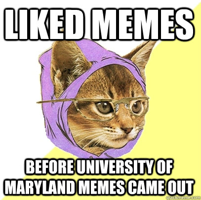 Liked memes before University of Maryland memes came out  Hipster Kitty