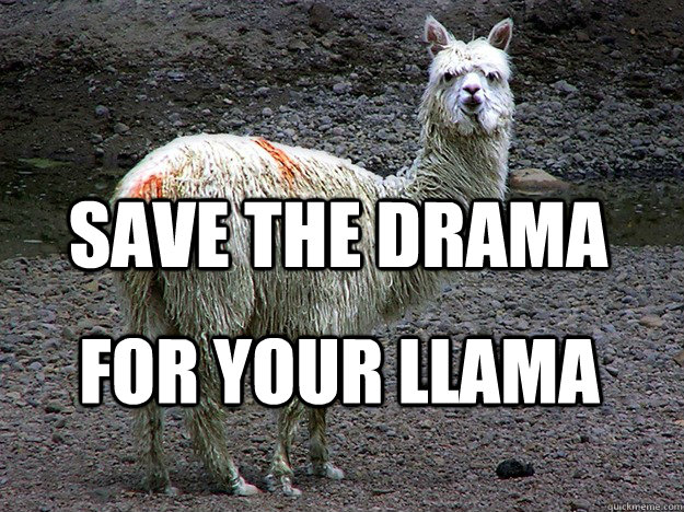 Save the drama for your llama  Llama Drama