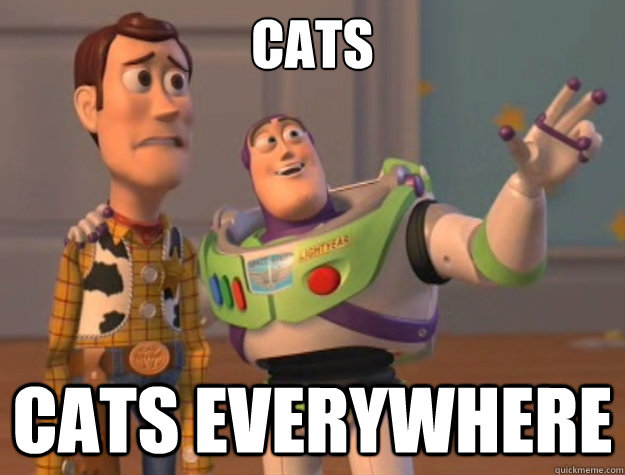 Cats cats everywhere  Toy Story