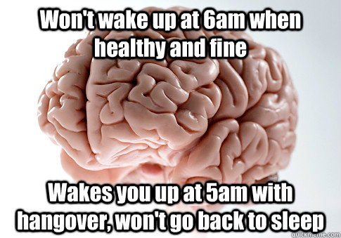 Won't wake up at 6am when healthy and fine Wakes you up at 5am with hangover, won't go back to sleep   Scumbag Brain