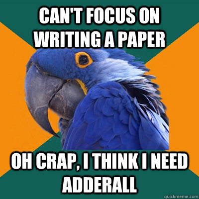 Can't focus on writing a paper Oh crap, I think I need adderall - Can't focus on writing a paper Oh crap, I think I need adderall  Paranoid Parrot