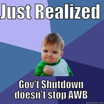JUST REALIZED  GOV'T SHUTDOWN DOESN'T STOP AWB Success Kid