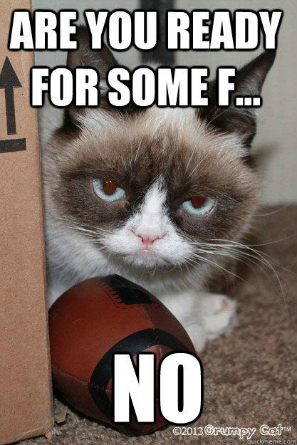 are you ready for some F... NO - are you ready for some F... NO  Grumpy Cat Football