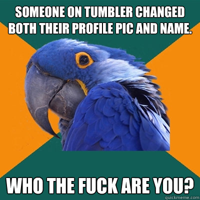 someone on tumbler changed both their profile pic and name. WHO THE fuck are you?  Paranoid Parrot