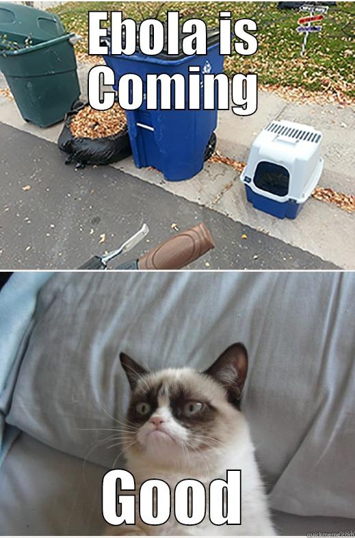 EBOLA IS COMING GOOD Misc