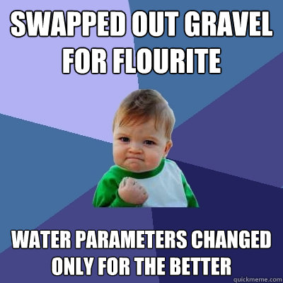 swapped out gravel for flourite water parameters changed only for the better - swapped out gravel for flourite water parameters changed only for the better  Success Kid
