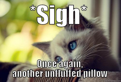 *SIGH* ONCE AGAIN, ANOTHER UNFLUFFED PILLOW First World Problems Cat