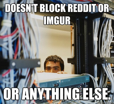 Doesn't block reddit or imgur or anything else.  