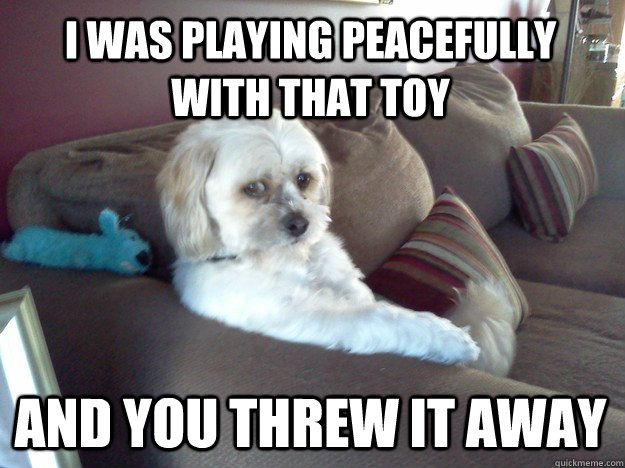 I was playing peacefully with that toy And you threw it away  Disappointed Doggy