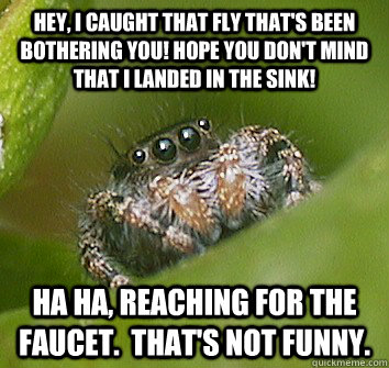 Hey, I caught that fly that's been bothering you! Hope you don't mind that I landed in the sink! Ha ha, reaching for the faucet.  That's not funny. - Hey, I caught that fly that's been bothering you! Hope you don't mind that I landed in the sink! Ha ha, reaching for the faucet.  That's not funny.  Misunderstood Spider