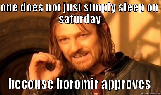 ONE DOES NOT JUST SIMPLY SLEEP ON SATURDAY BECOUSE BOROMIR APPROVES Boromir