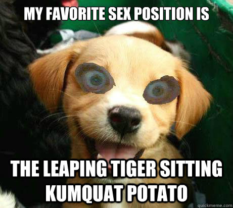 my favorite sex position is The leaping tiger sitting kumquat potato  Pervy Meme