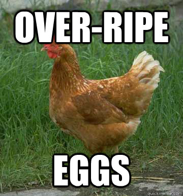 over-ripe eggs - over-ripe eggs  FUCK YOU REPOSTS