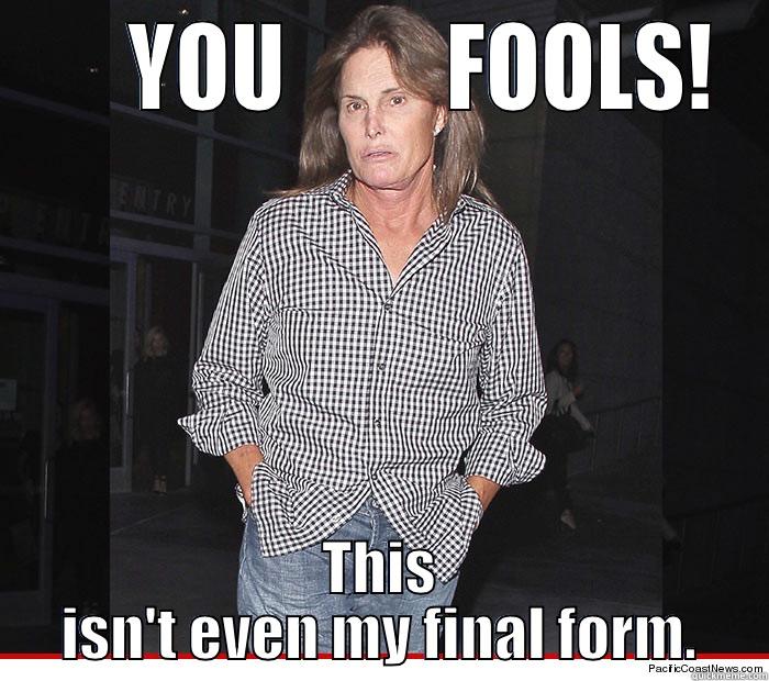      YOU         FOOLS! THIS ISN'T EVEN MY FINAL FORM. Misc