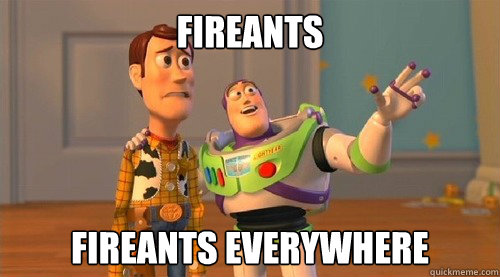 Fireants Fireants everywhere  Buzz Kill