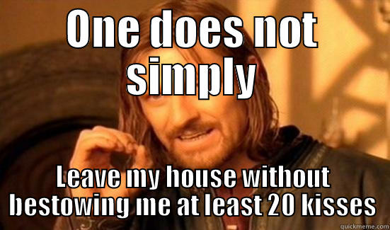 ONE DOES NOT SIMPLY LEAVE MY HOUSE WITHOUT BESTOWING ME AT LEAST 20 KISSES Boromir