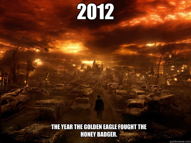 2012 The year the Golden Eagle fought the Honey Badger. - 2012 The year the Golden Eagle fought the Honey Badger.  Misc